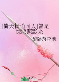 [倚天杨逍同人]曾是惊鸿照影来