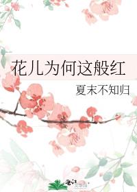 花儿为何这般红