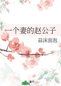 一个妻的赵公子