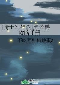 [骑士幻想夜]黑公爵攻略手册