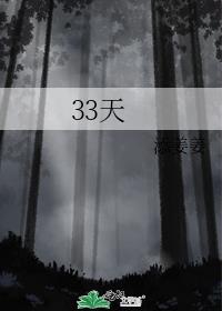 33天