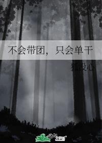 不会带团，只会单干