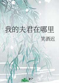 我的夫君在哪里