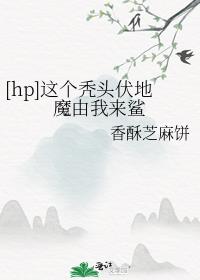 [hp]这个秃头伏地魔由我来鲨