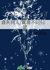 《喜灰》同人/翼喜/不问归途