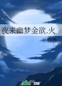 夜来幽梦火流光