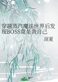 穿越蒸汽魔法世界后发现BOSS竟是我自己