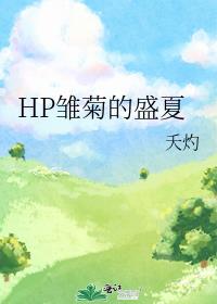 HP雏菊的盛夏