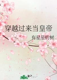 穿越过来当皇帝