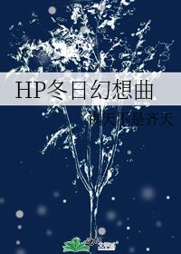 HP冬日幻想曲