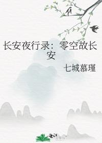 长安夜行录：零空故长安