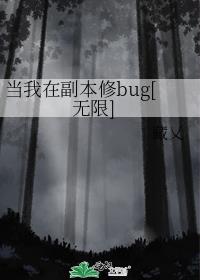 当我在副本修bug[无限]