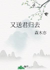 又送君归去