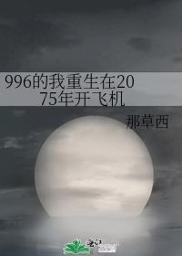 996的我重生在2075年开飞机