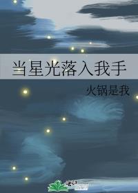 当星光落入我手