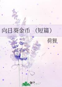 向日葵金币 （短篇）