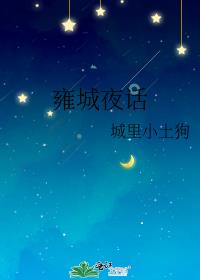 雍城夜话