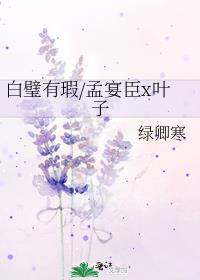 白璧有瑕/孟宴臣x叶子