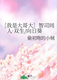 ［我是大哥大］智司同人·双生/向日葵