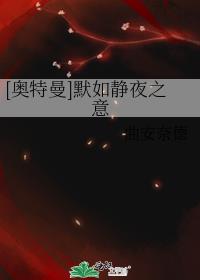 [奥特曼]默如静夜之意