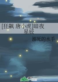 [狂飙 唐小虎]暗夜星辰